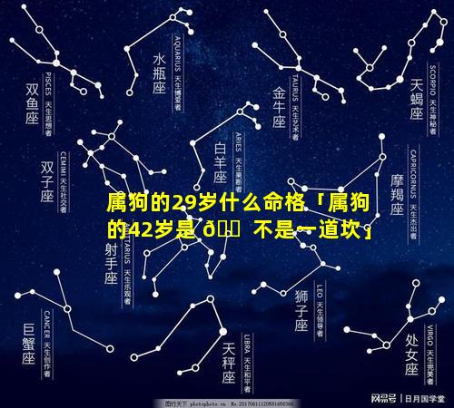 属狗的29岁什么命格「属狗的42岁是 🐠 不是一道坎」